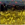 0001_Spro_HS_810_Playboy_9_cm_[Gold_Back].jpg